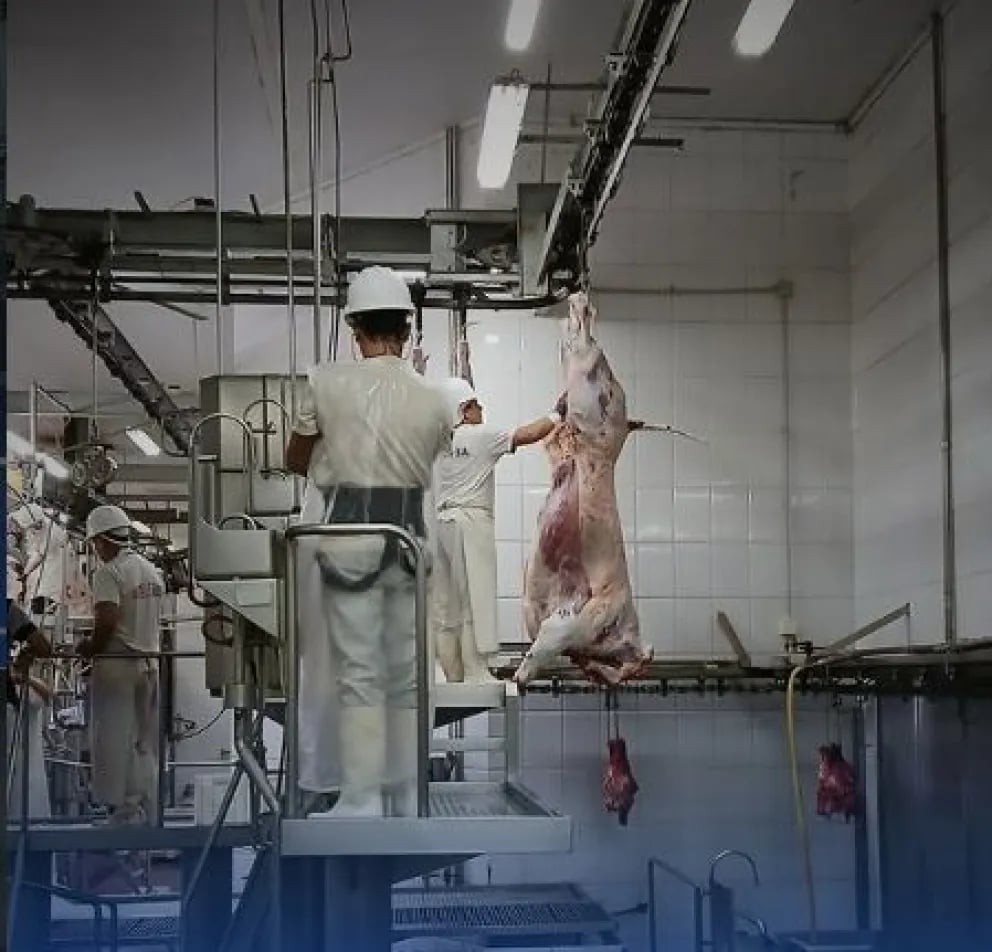 Cerró el frigorífico El Porvenir y casi cien empleados se quedaron sin trabajo